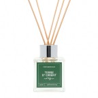 Αρωματικό χώρου με στικ TERRE D' ORIENT,100ml